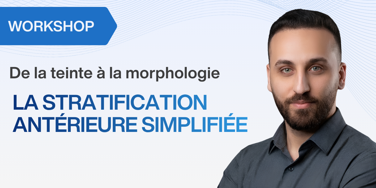 De la teinte à la morphologie : la stratification antérieure simplifiée 